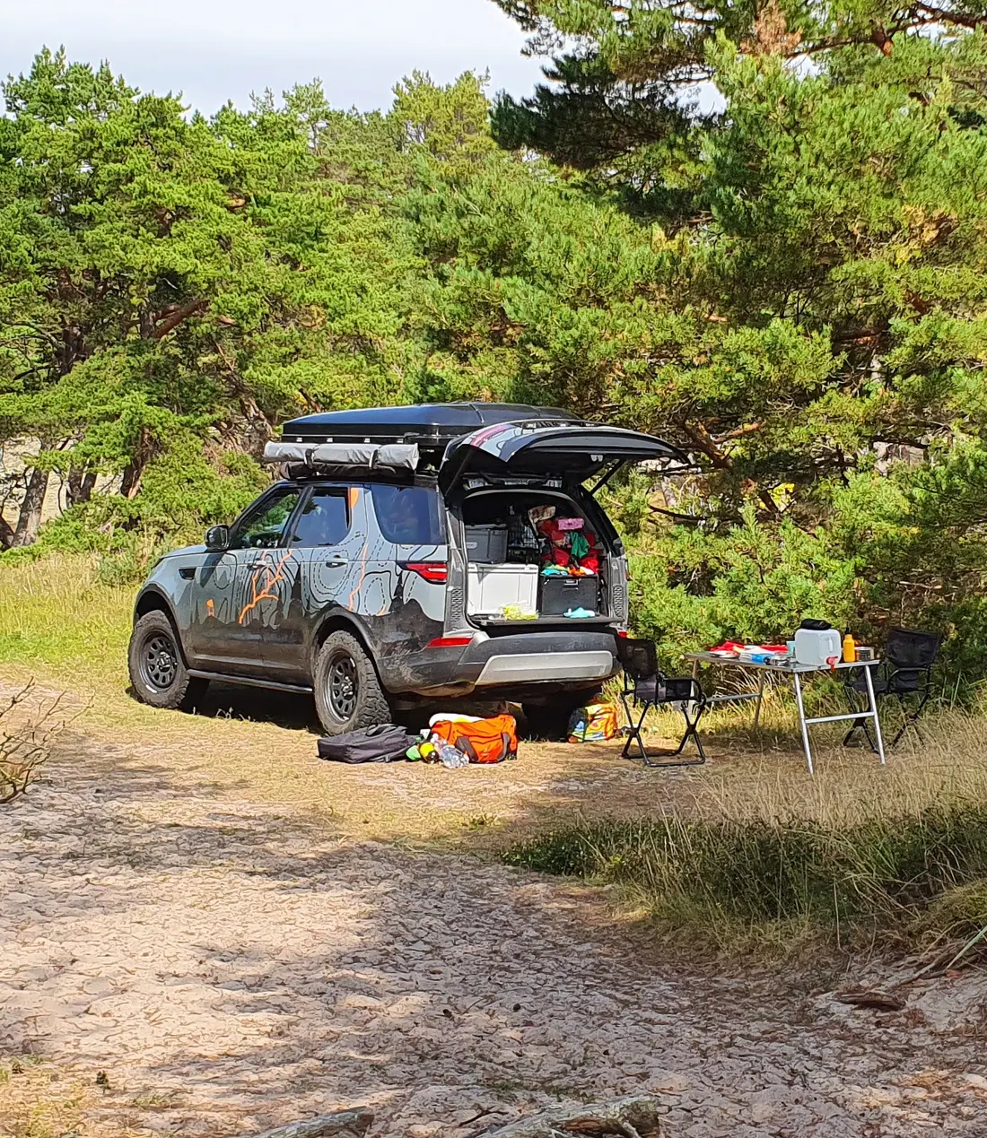 Land Rover Discovery at a camp among pine trees
