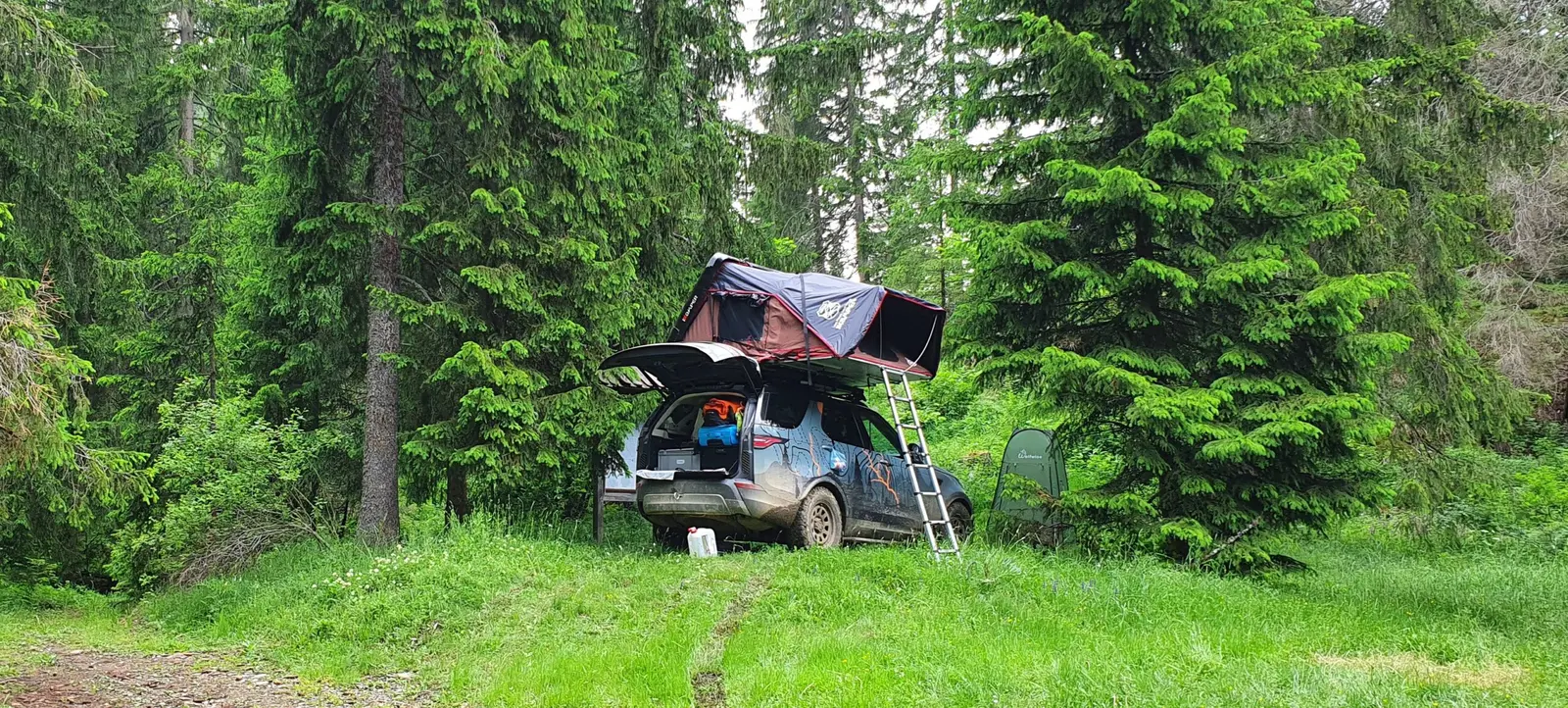 Forest camp