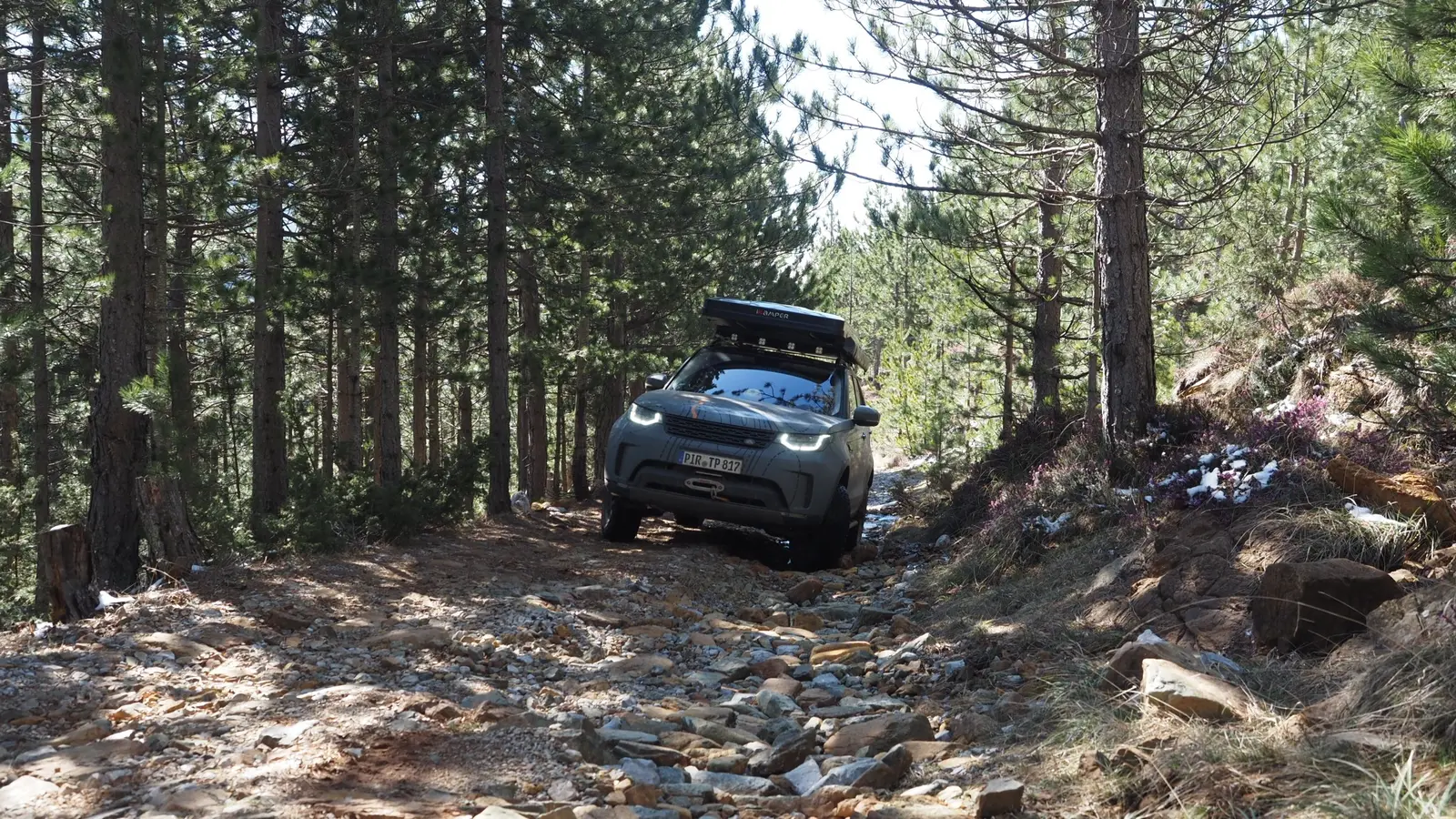 Rocky forest track