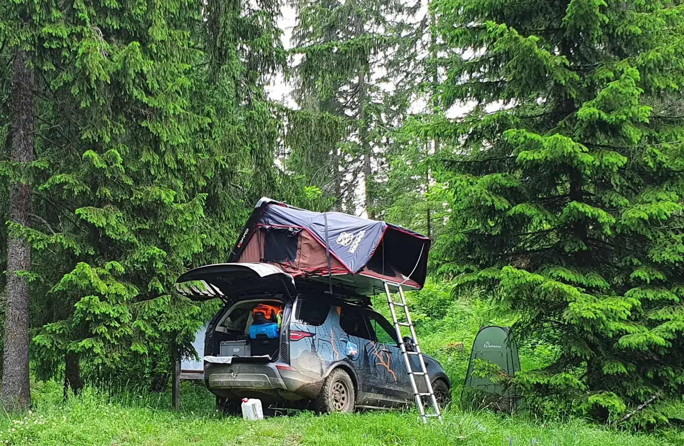 Land Rover Discovery with open rooftop tent in a spruce forest