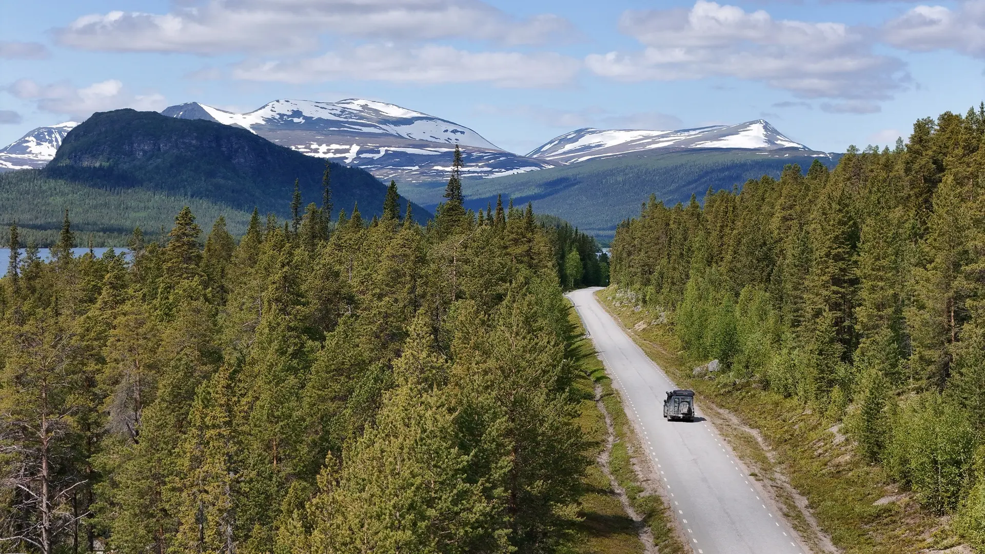 Road through the forest towards the mountains, seen from above