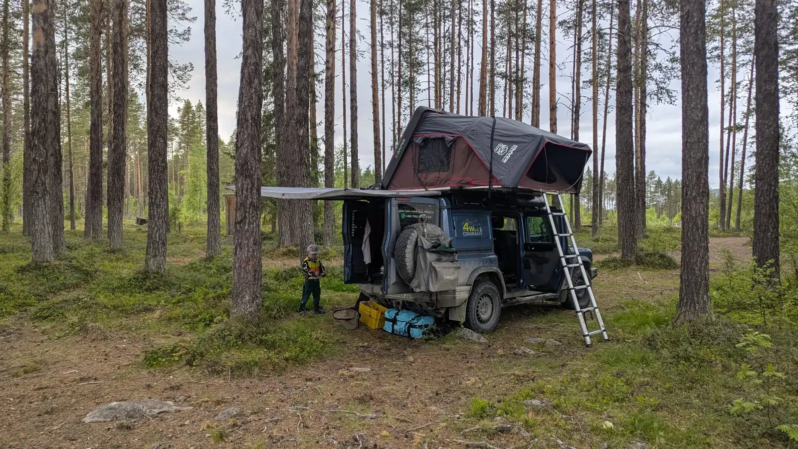 Forest camp