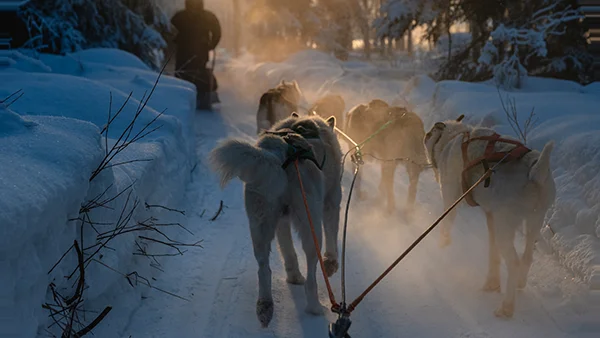 Explore the North – lodges in Lapland