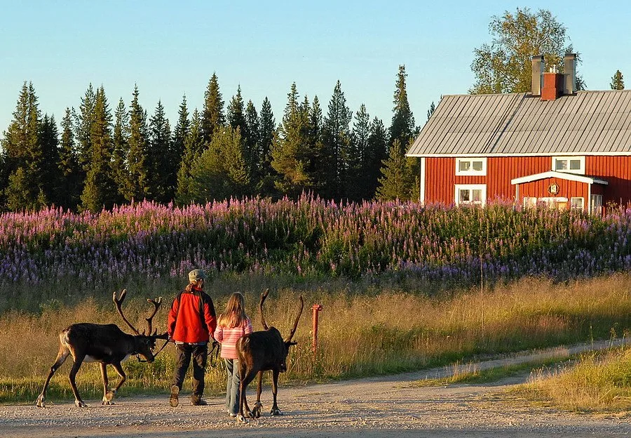 Solberget Wilderness Village