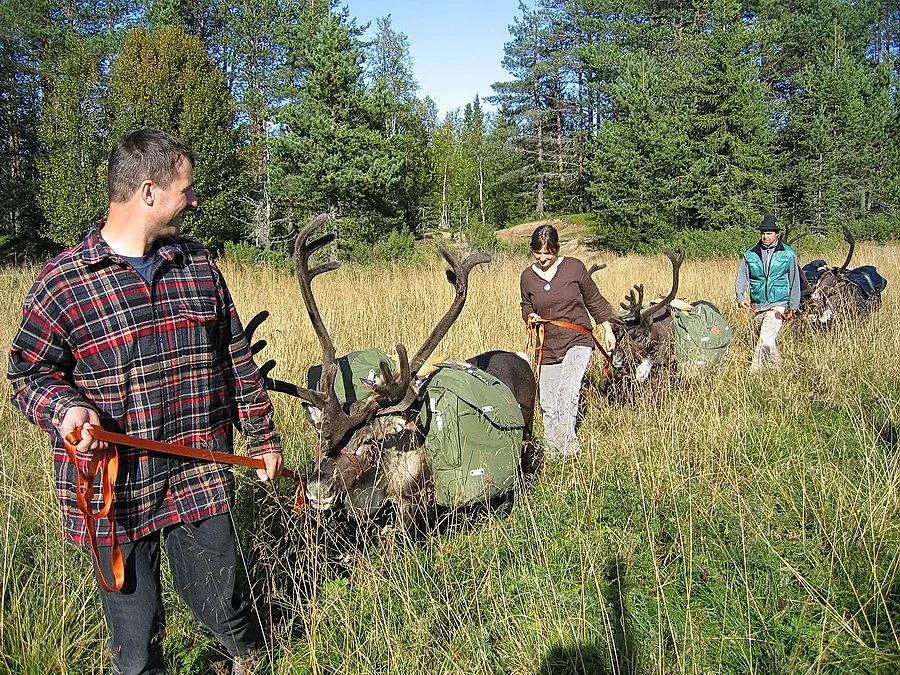 Solberget Wilderness Village