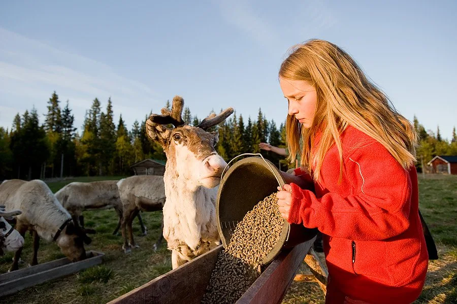 Solberget Wilderness Village