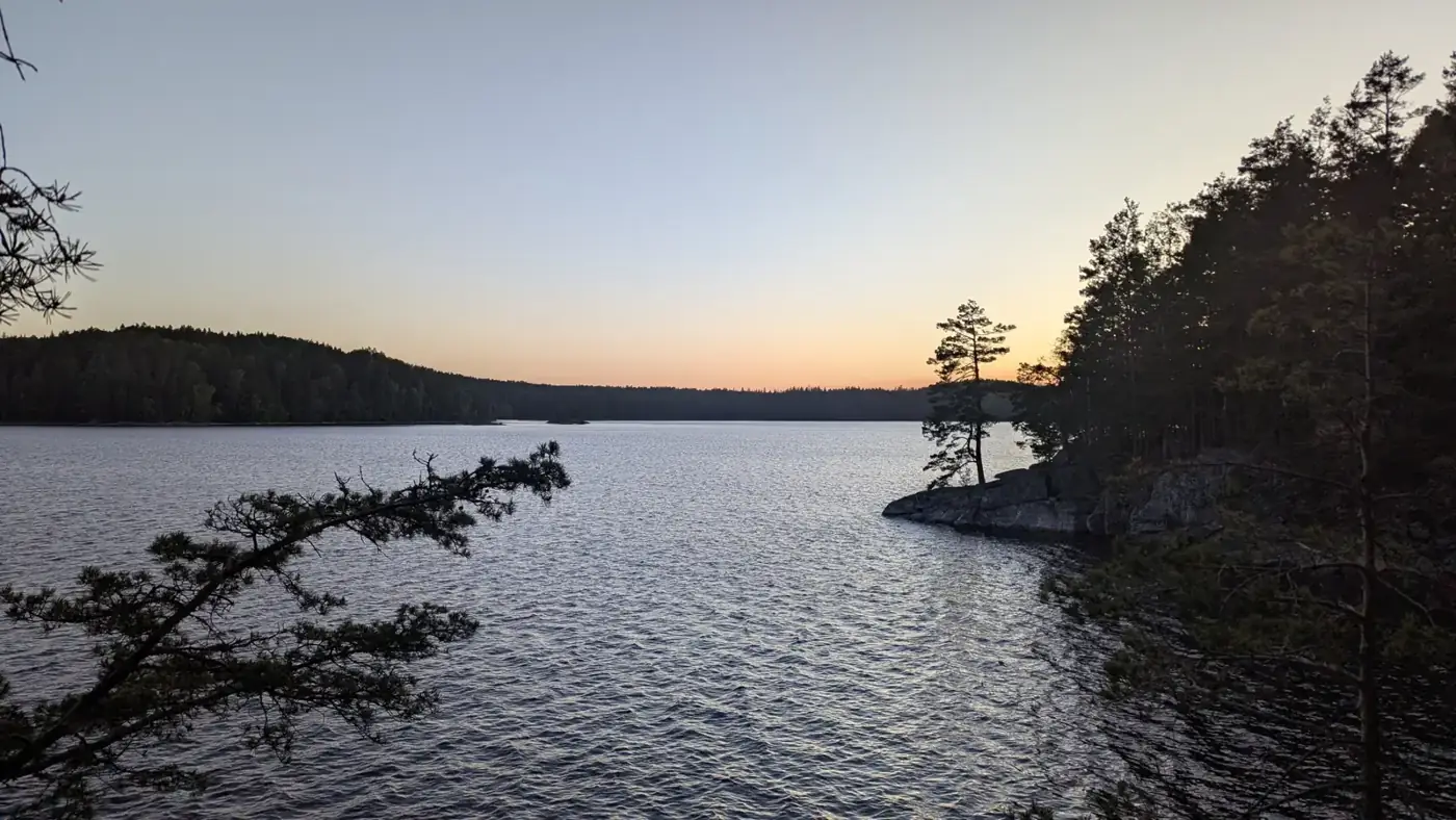 Evening light over a forest lake