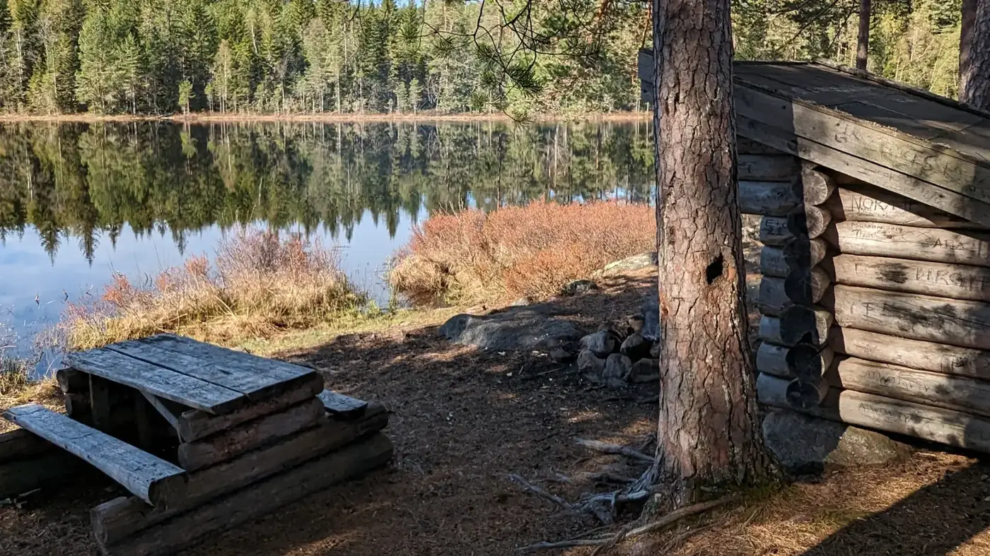 Morning at a lake camp with a shelter