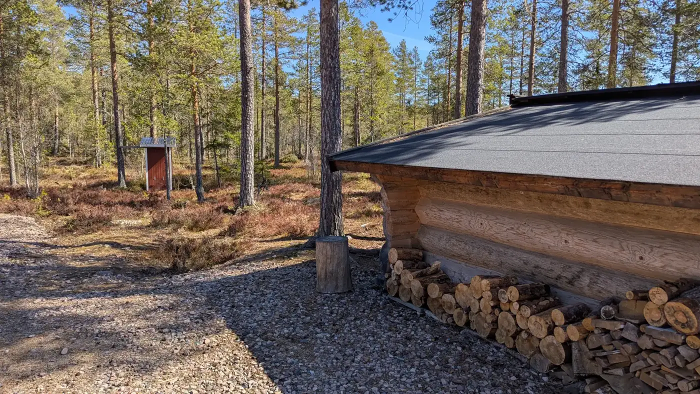 Wooden shelter with firewood in a pine forest