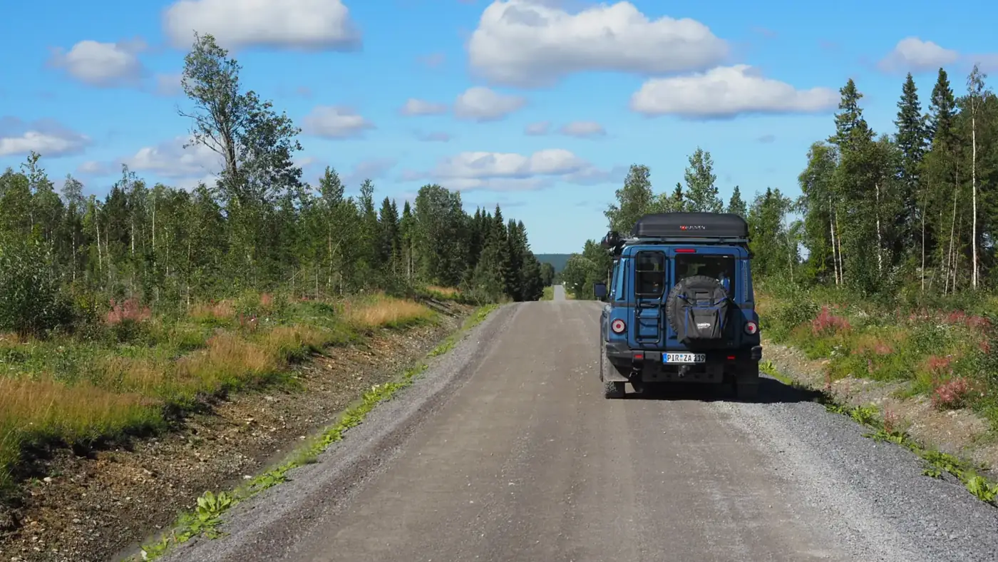 Gravel road through birch and pine forest