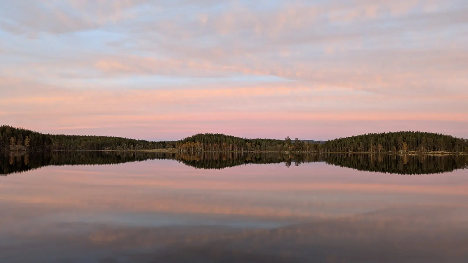 Calm lake at sunset with the forest mirrored in the water
