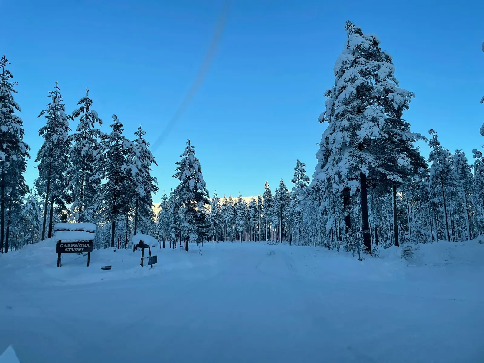 Quiet winter road in the forest