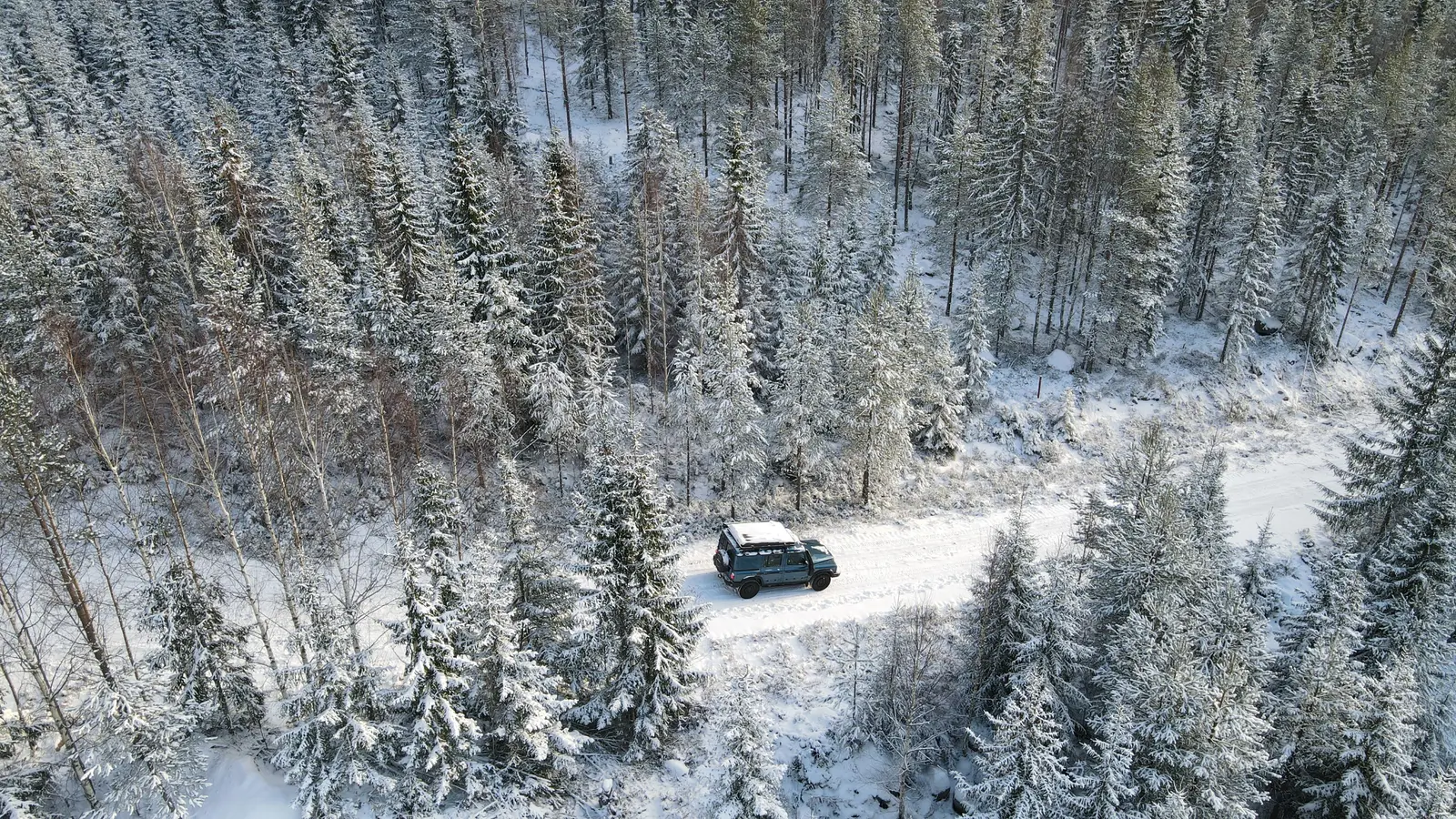 The Grenadier seen from above in a snowy forest