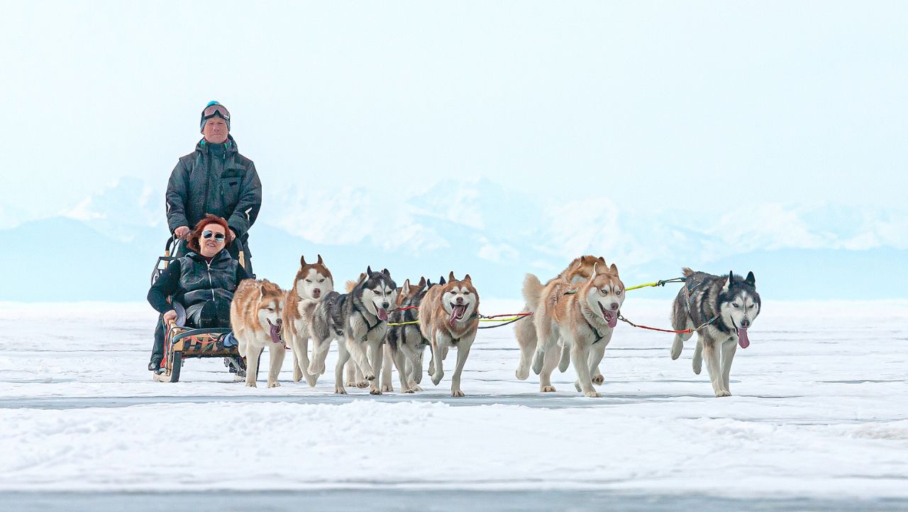 The 4 Wild Company Dog Sled Rides