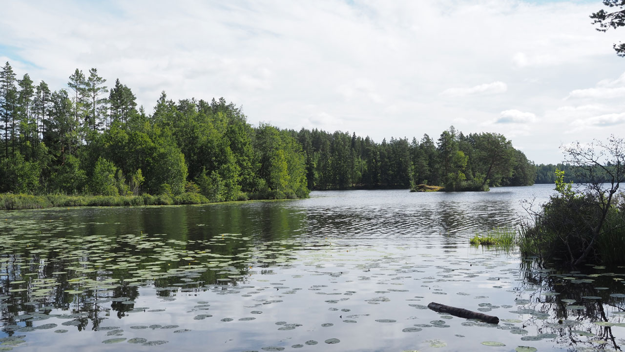 The 4 Wild Company Lake Tour