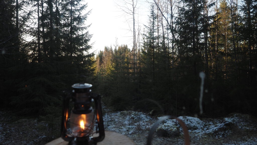 Lake and forest near Forest Cabin Sweden
